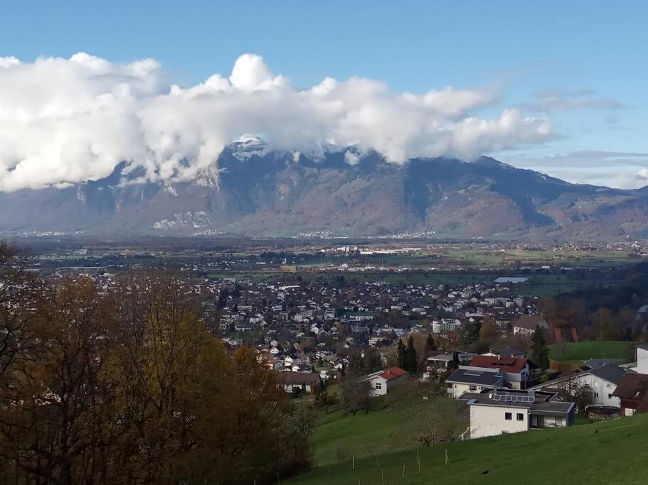 Wohnung Rheintal Im Alpenvorland Batschuns Kültér fotó