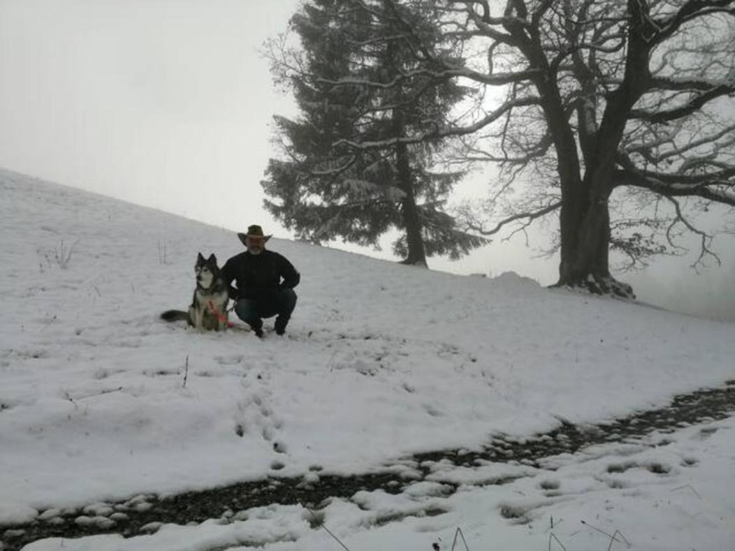 Wohnung Rheintal Im Alpenvorland Batschuns Kültér fotó