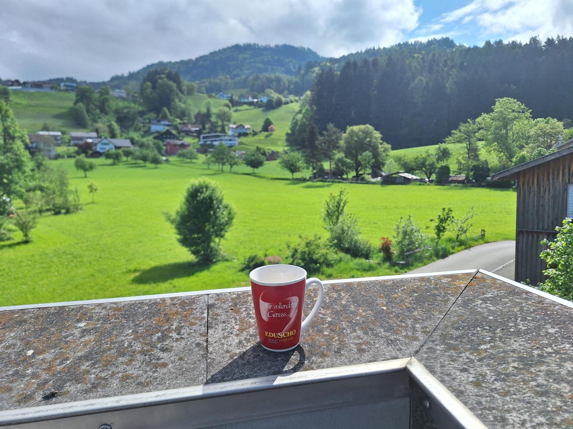 Wohnung Rheintal Im Alpenvorland Batschuns Kültér fotó