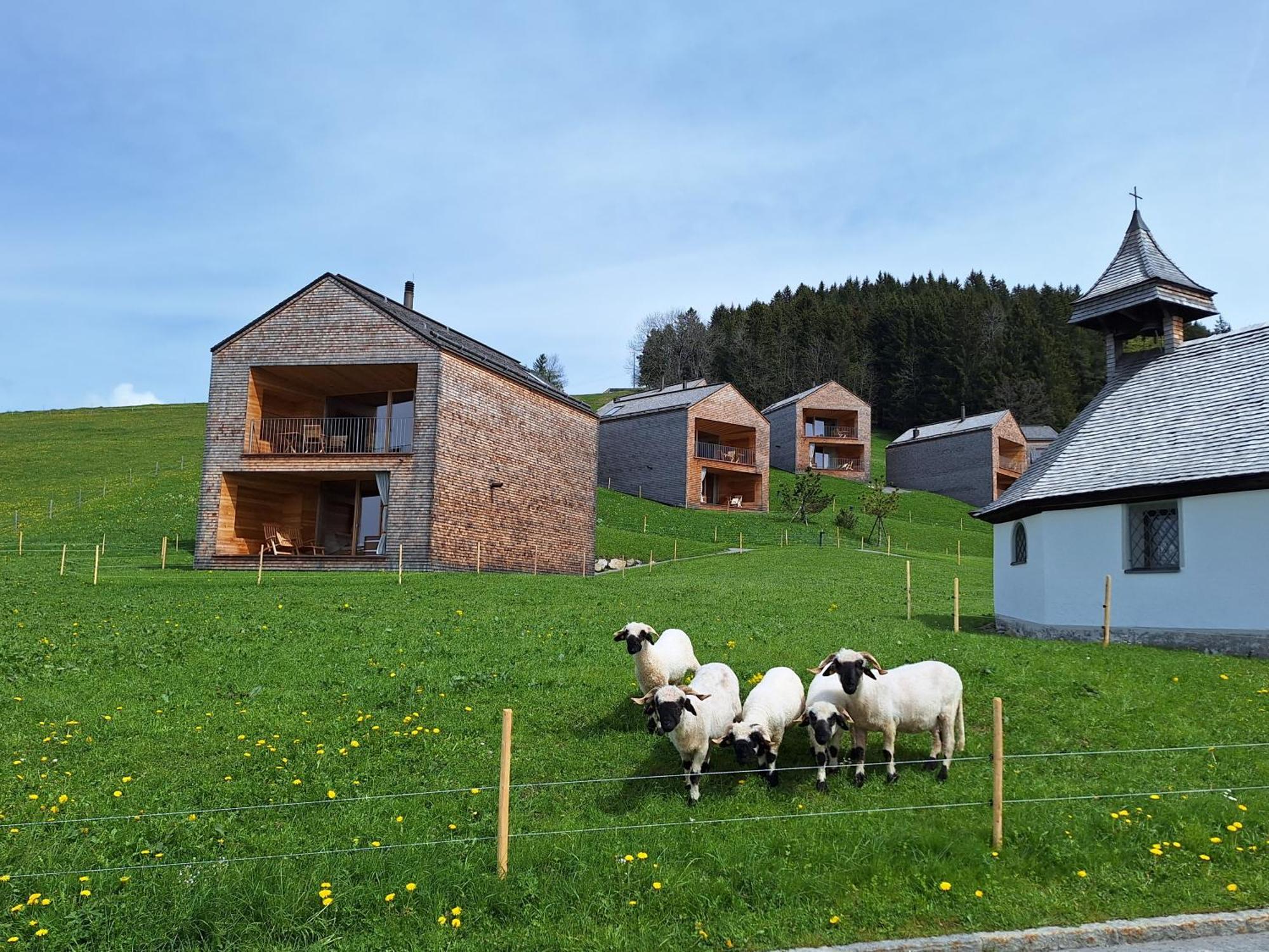Wohnung Rheintal Im Alpenvorland Batschuns Kültér fotó