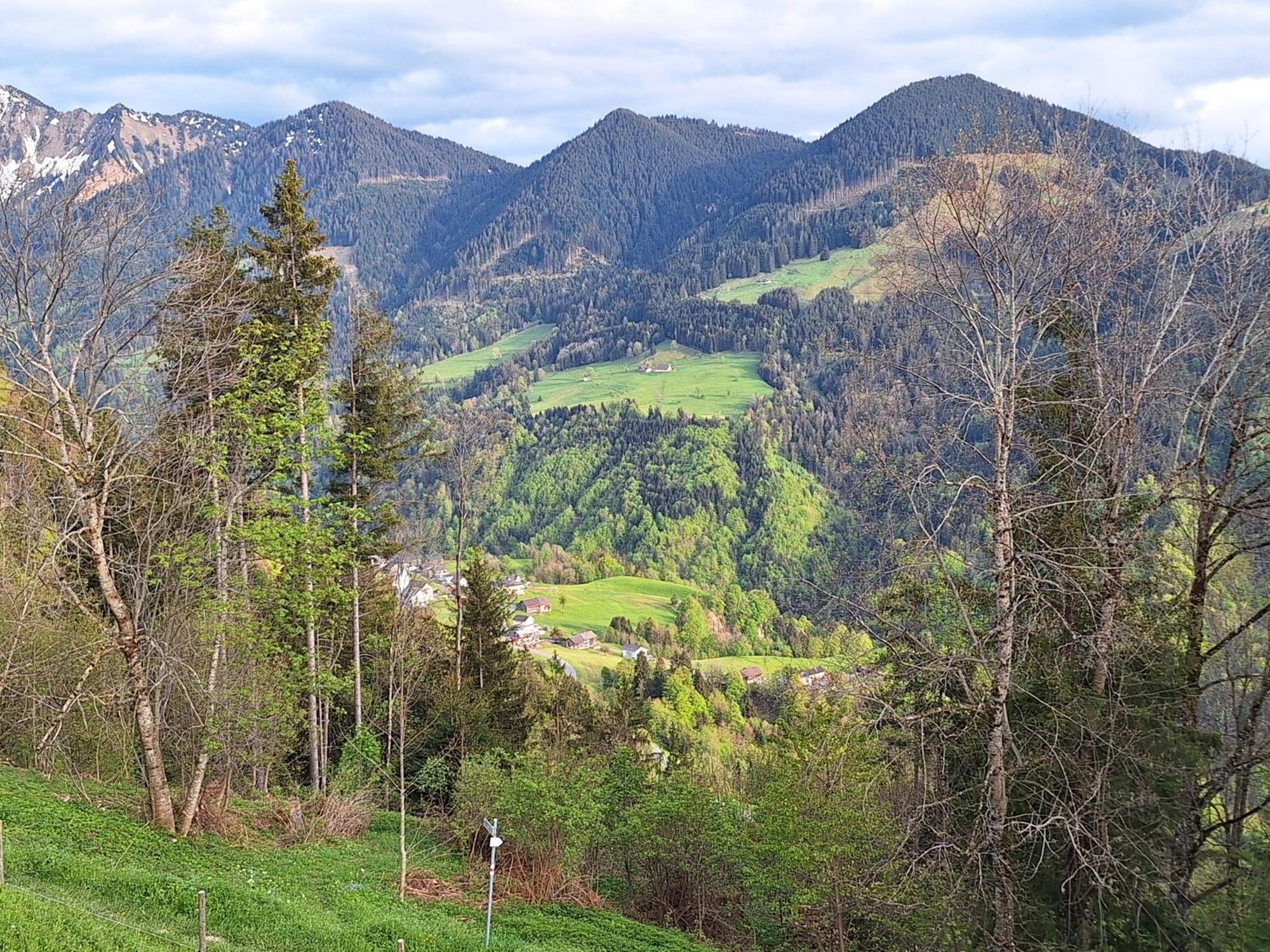 Wohnung Rheintal Im Alpenvorland Batschuns Kültér fotó