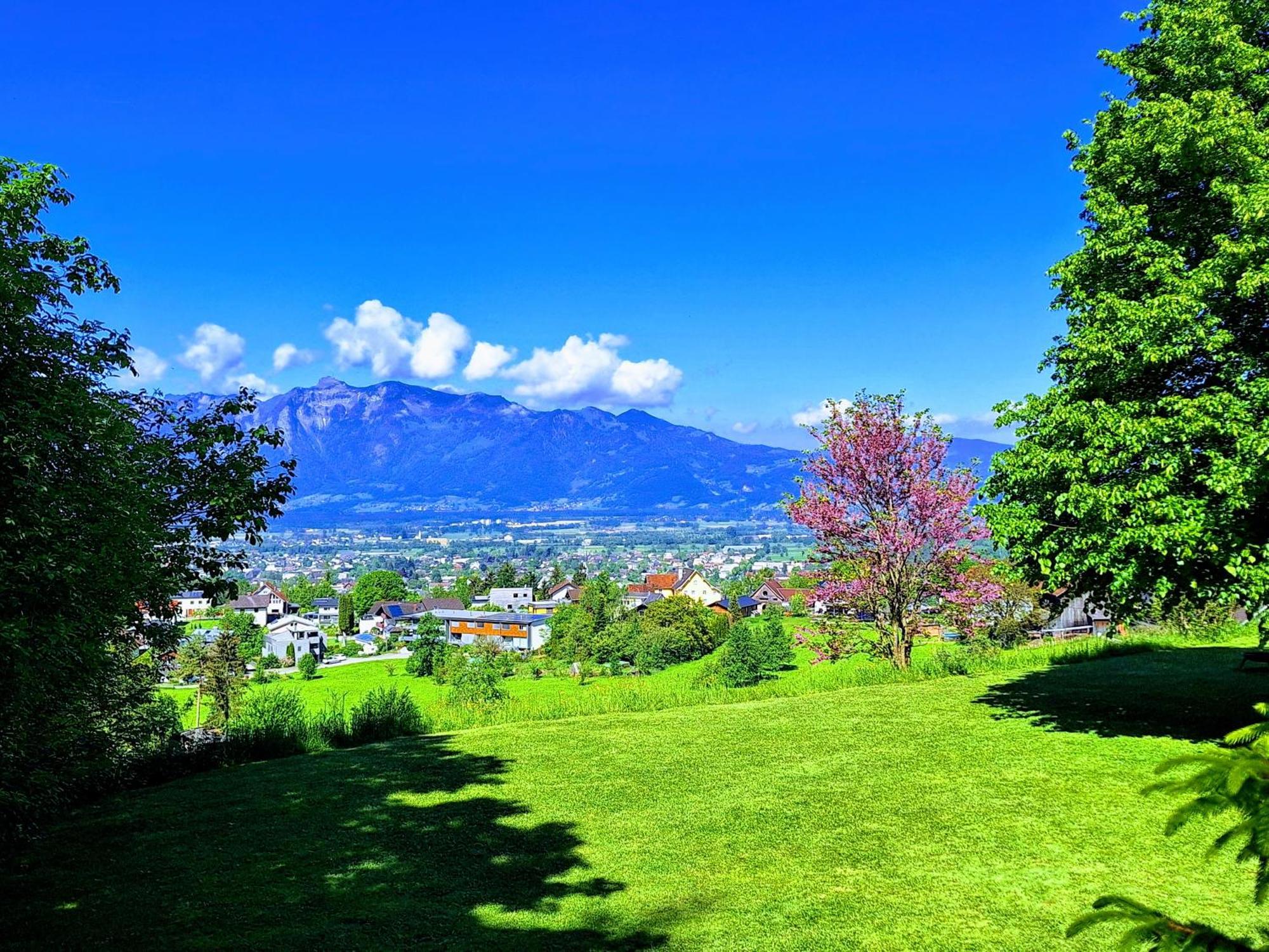 Wohnung Rheintal Im Alpenvorland Batschuns Kültér fotó
